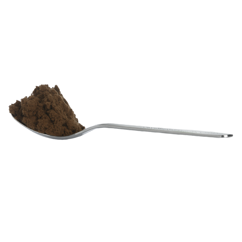 Zunderschwamm